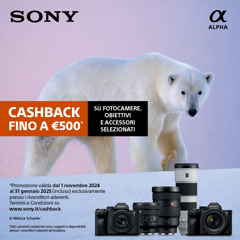 Sony Winter Cashback 2024