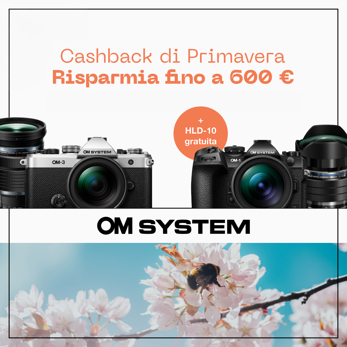 OM System Spring Cashback